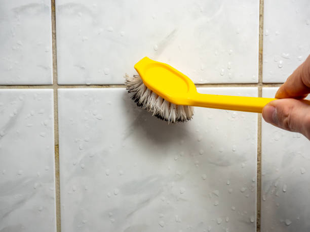 Best Toxic Mold Removal  in Lewisburg, TN