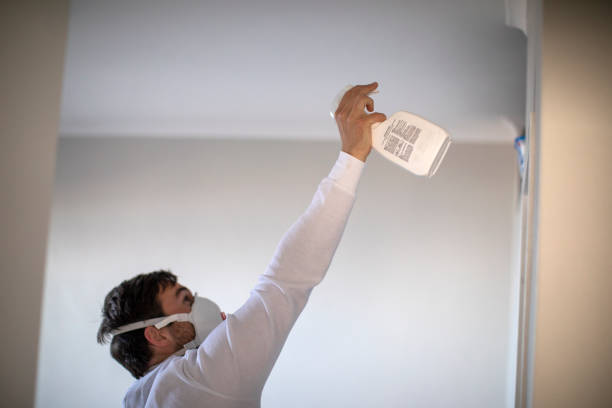 Best Same-Day Mold Removal  in Lewisburg, TN