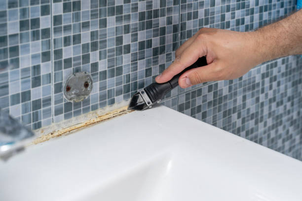 Best Mold Removal Company Near Me  in Lewisburg, TN