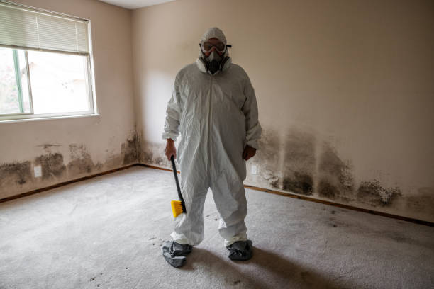 Best Commercial Mold Removal  in Lewisburg, TN