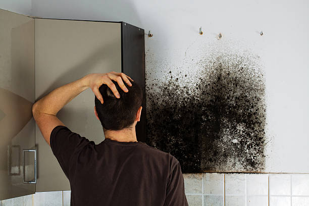 Best Crawl Space Mold Removal  in Lewisburg, TN