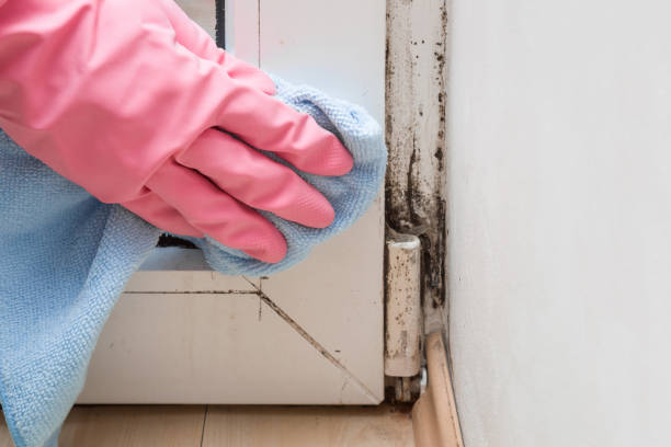 Water Damage Restoration in Lewisburg, TN